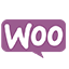 WooCommerce Themes
